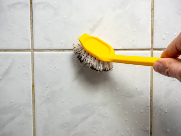 Best Mold Remediation  in Lawson Heights, PA