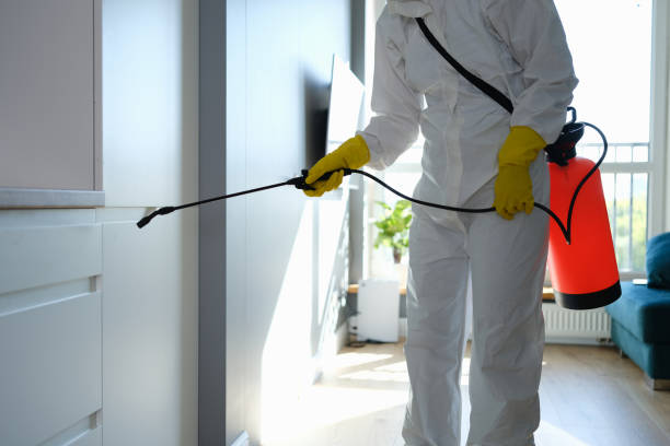 Best Residential Mold Removal  in Lawson Heights, PA