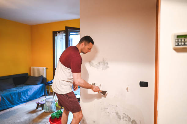 Office Mold Removal Services in Lawson Heights, PA